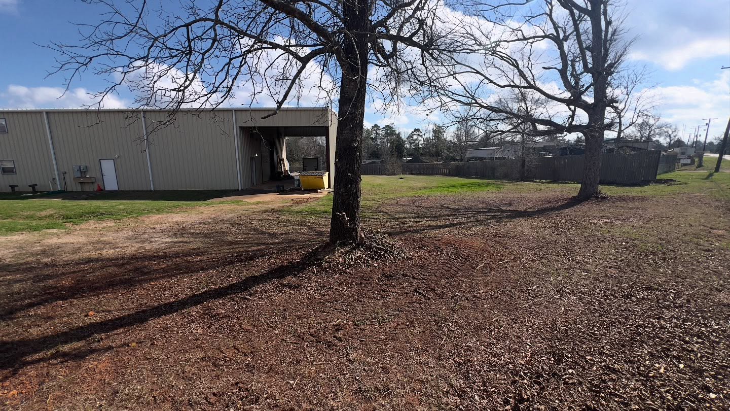 Tree and fence line after brush clearing