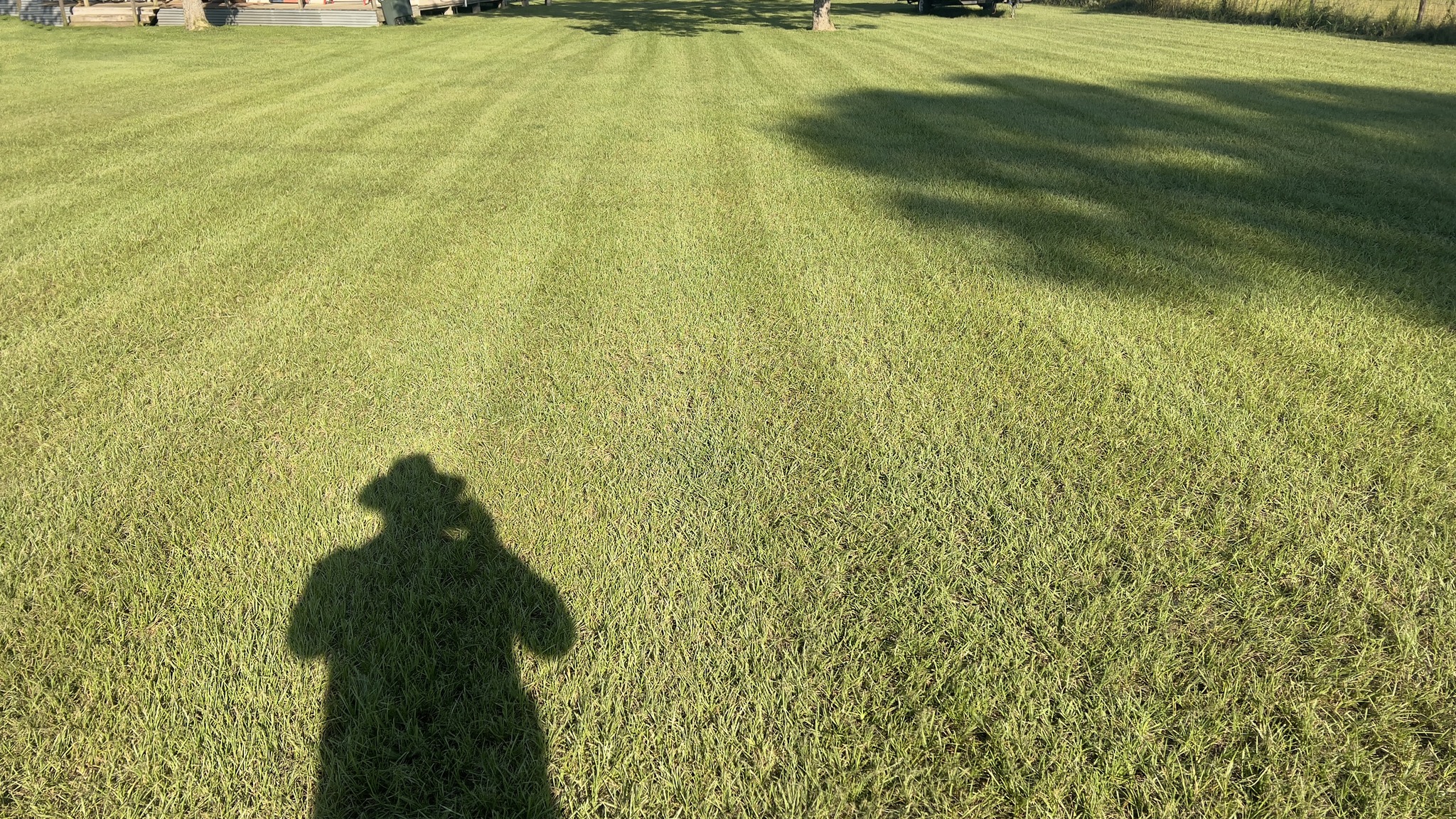 Lawn with visible mower stripes